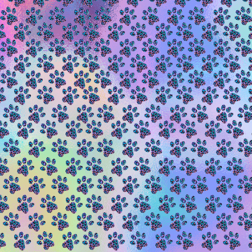 Paw print Rainbow