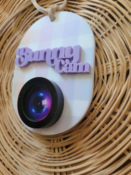 Mini Bunny Cam | Hanging Sign | Gingham Rainbow