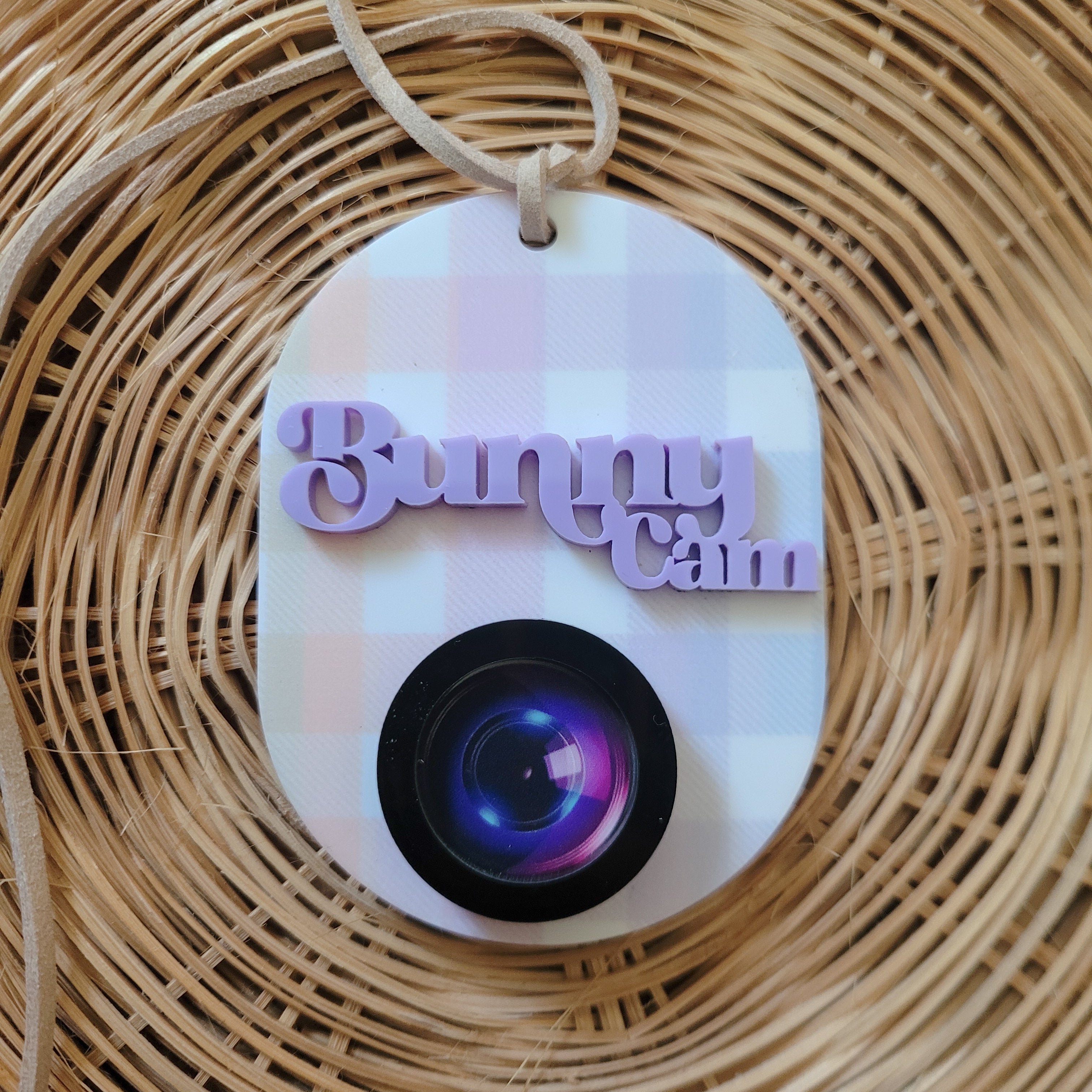 Mini Bunny Cam | Hanging Sign | Gingham Rainbow