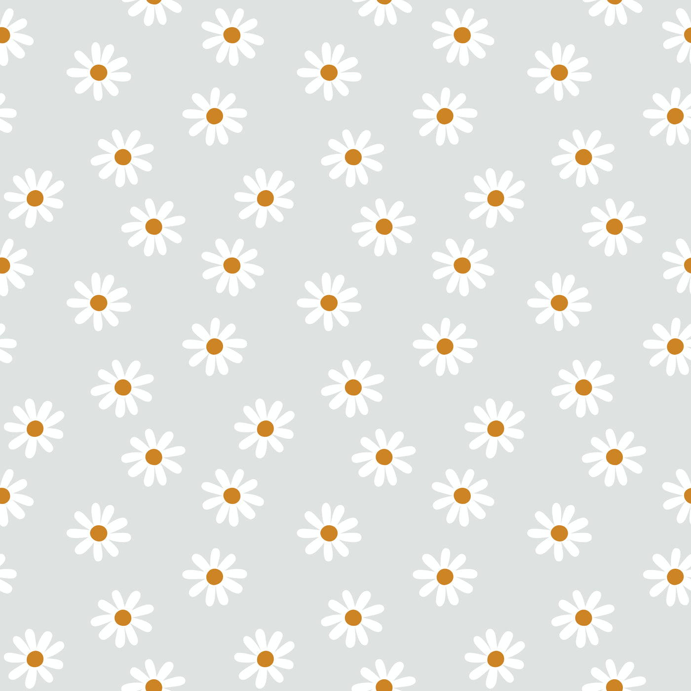 Daisy grey