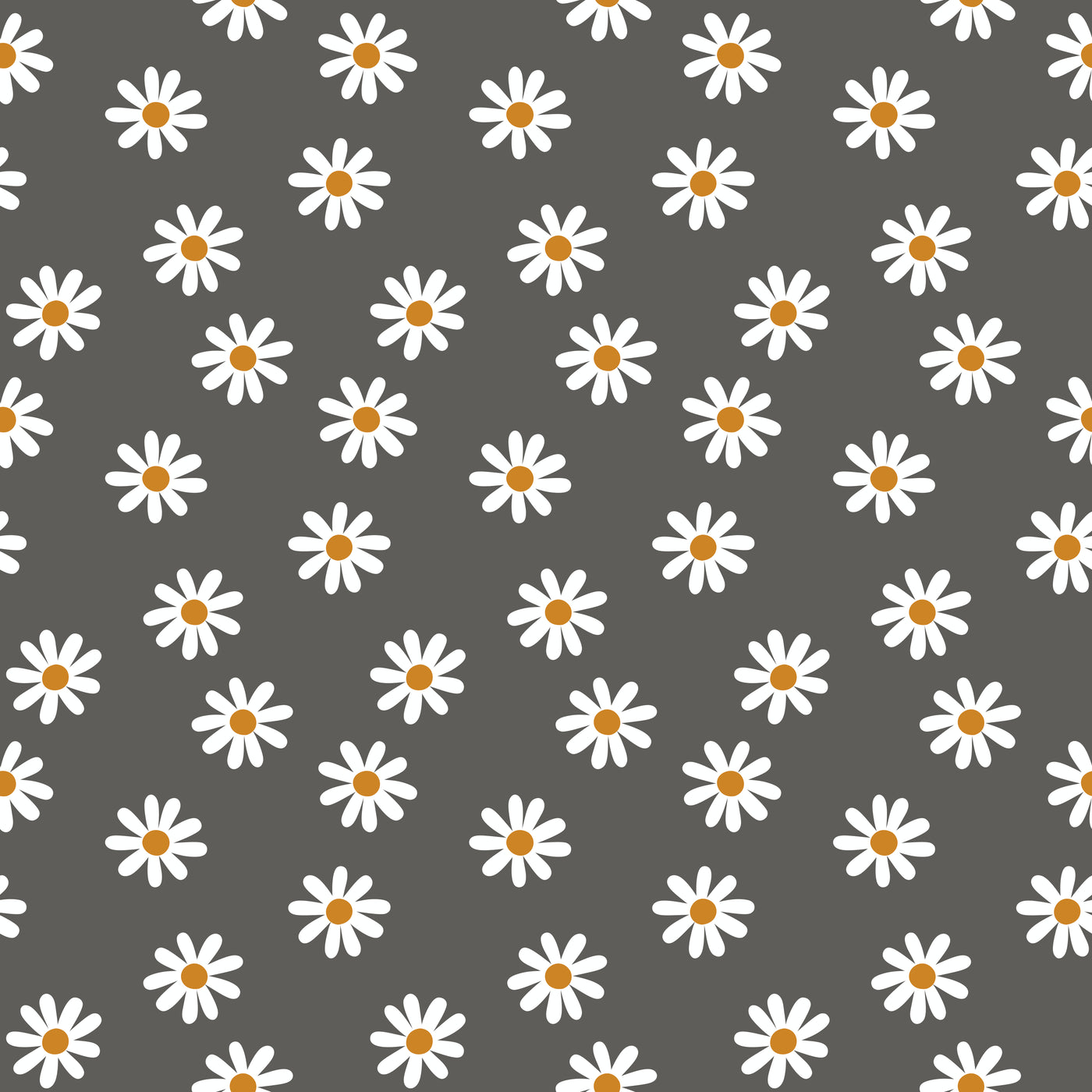 Daisy Dark Background