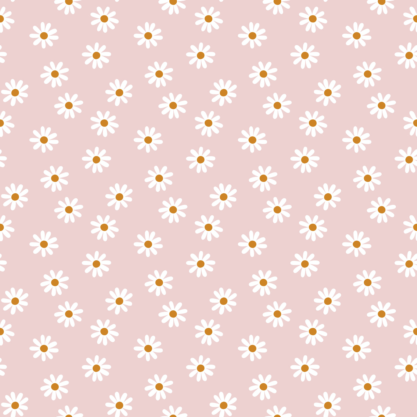 Daisy pink