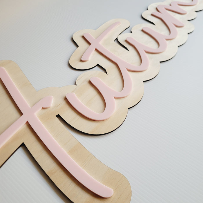 Double Layer Acrylic Name Plaque | 11 sizes available