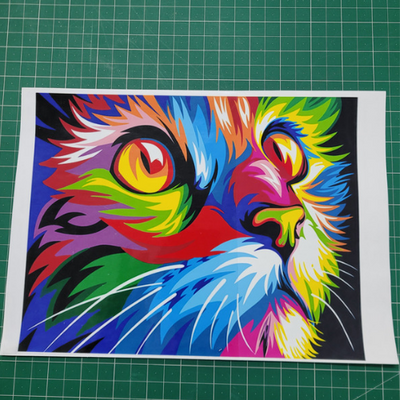 Printable Vinyl Orajet 1917