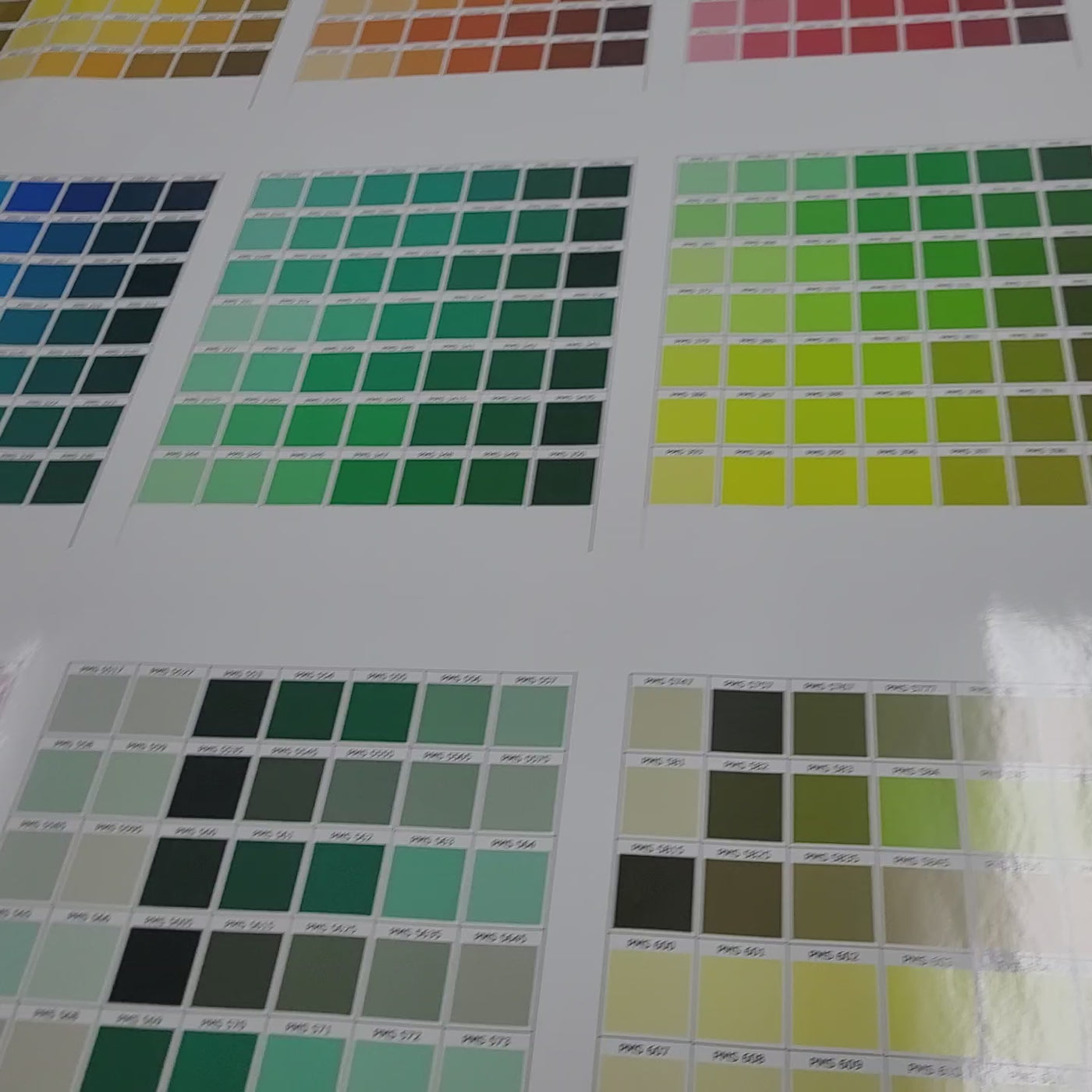 Permanent Printed Vinyl