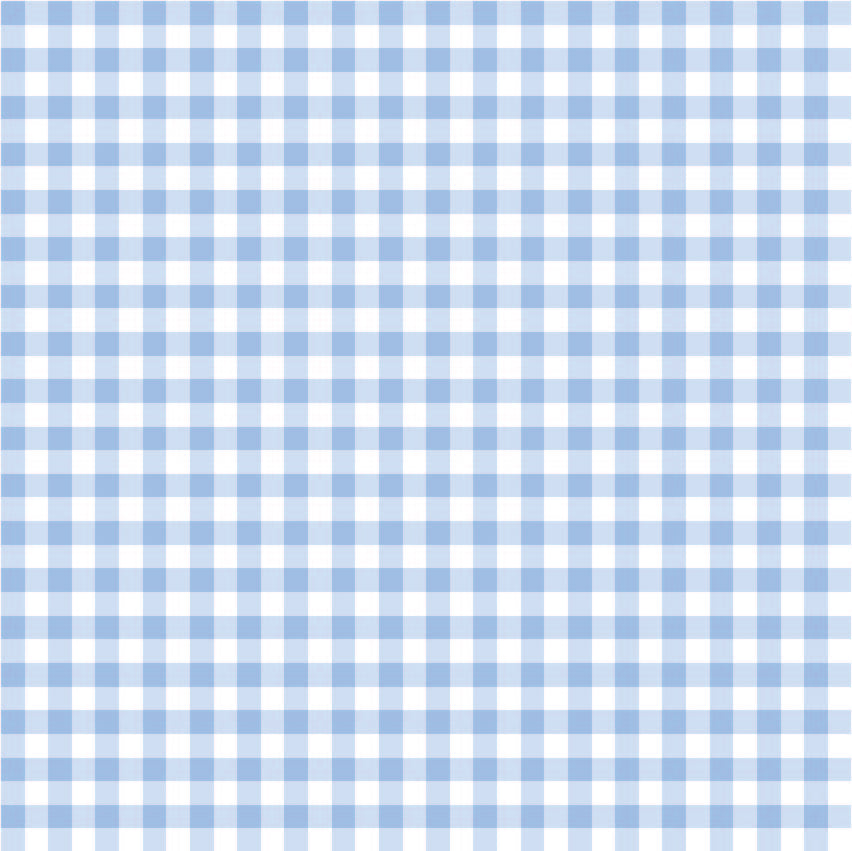 Gingham - Blue