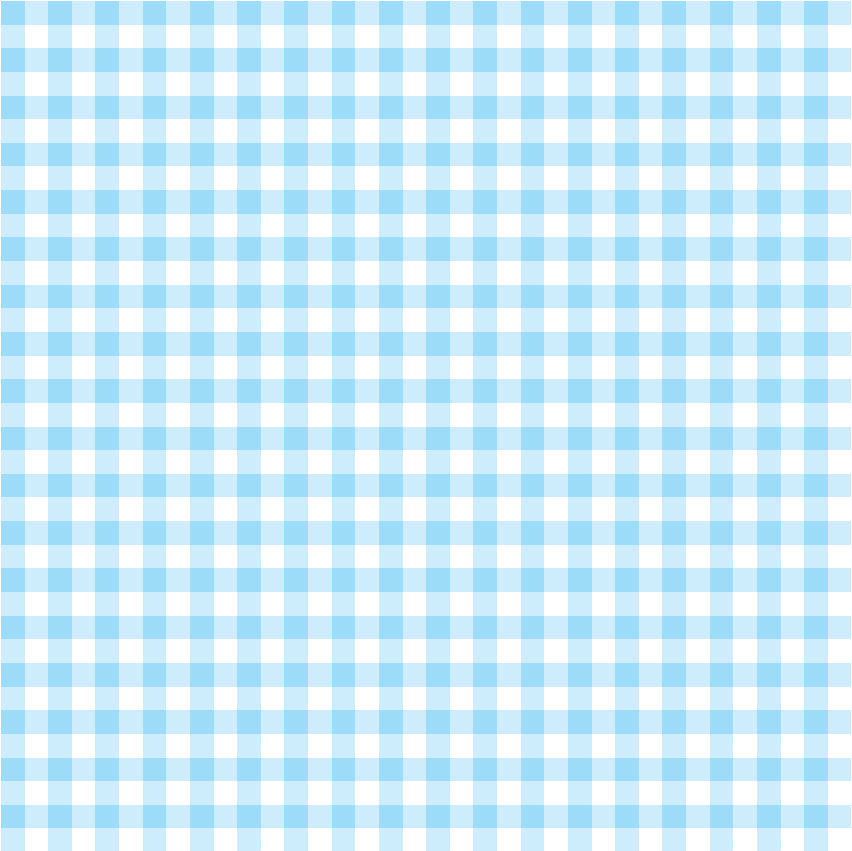 Gingham - Light Blue