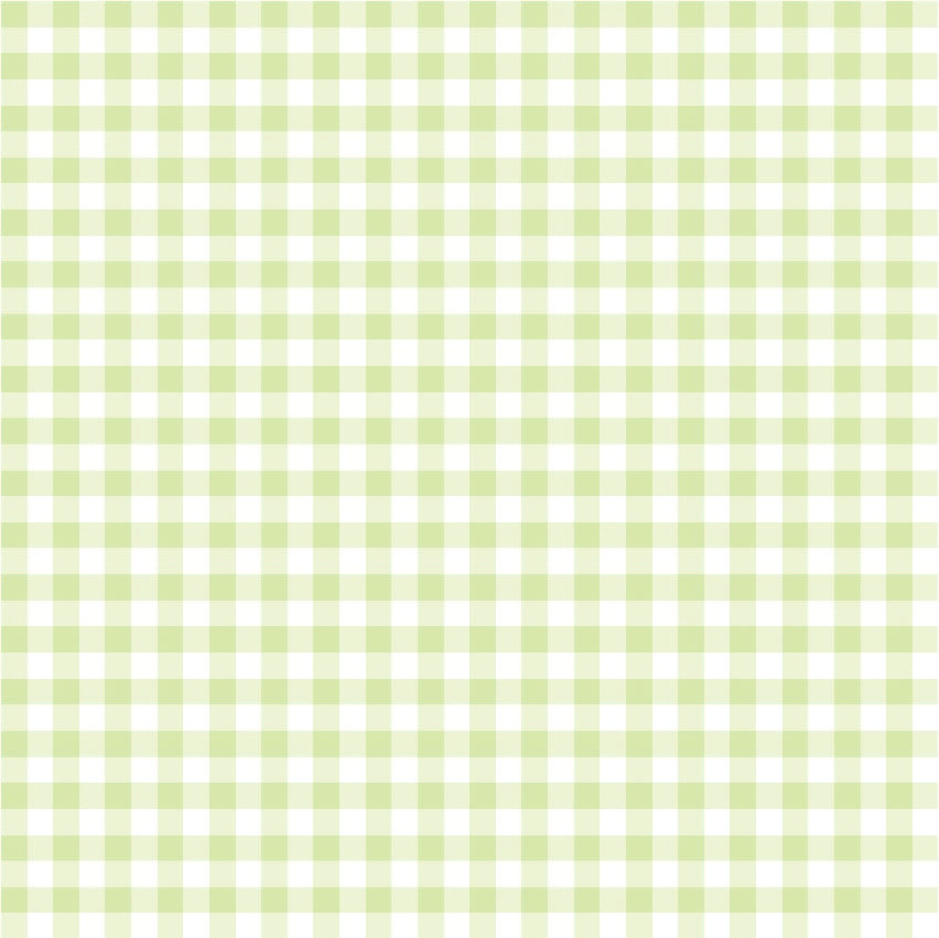 Gingham - Light Green